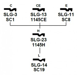 SLG-23 S6 1145H SH13